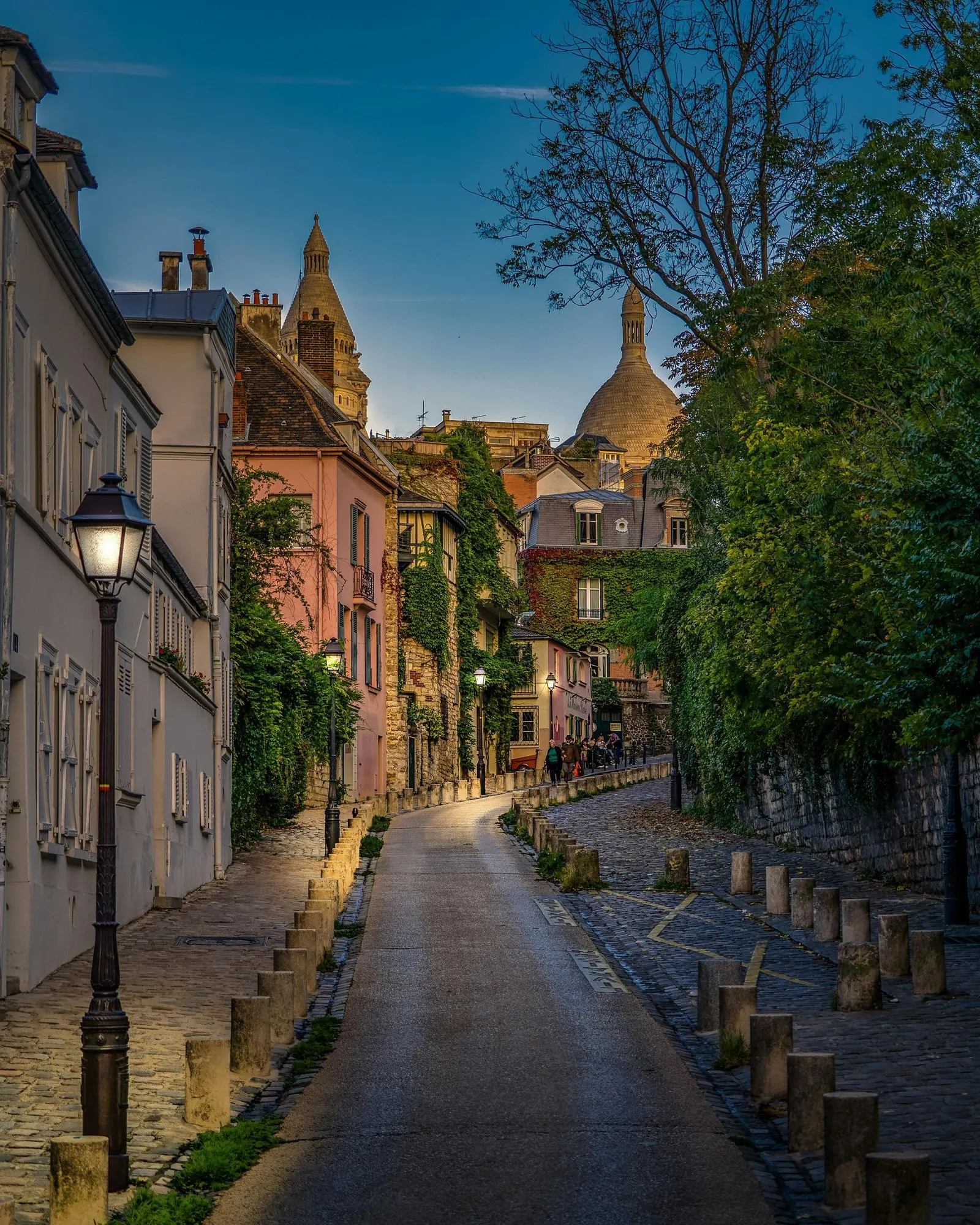 Ruelle pavée bordée de maisons anciennes en France